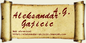 Aleksandar Gajičić vizit kartica